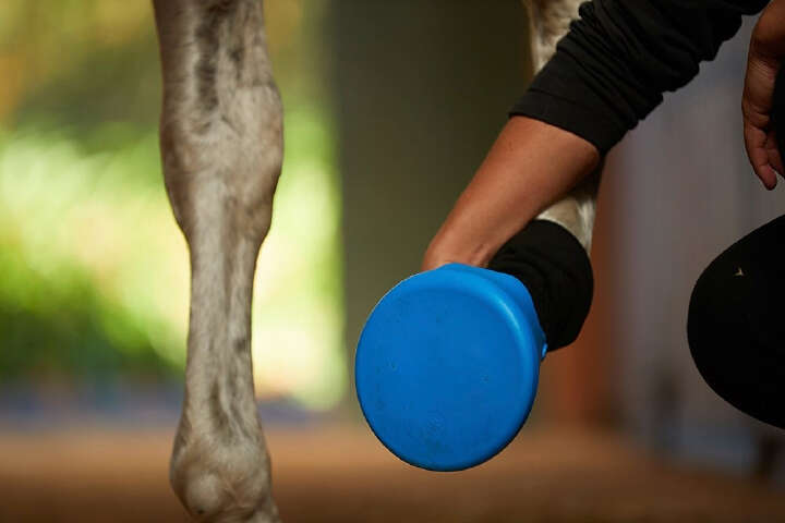 SHOOF Hufschuh Tubbease™